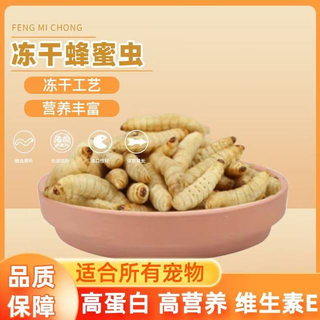 冻干蜂蜜虫玉米虫葡萄虫包邮鸟食蜜袋鼯绣眼仓鼠饲料守宫零食10g