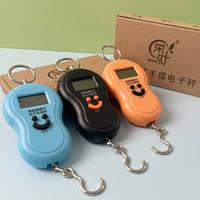 HL 手提秤 电子称 100斤 厨房家用便携式