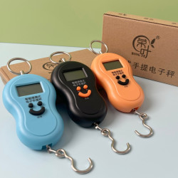 HL 手提秤 电子称 100斤 厨房家用便携式