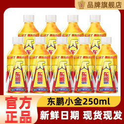 东鹏 特饮 牛磺酸B族维生素饮料 500ml