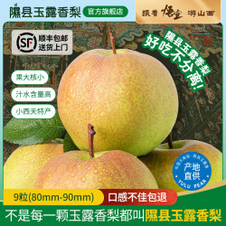 隰县玉露香梨 整箱香梨当季水果山西隰县小西天特产 水果中秋 9粒中果（约5.5斤）80-90mm