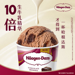 哈根达斯 巧克力风味布朗尼冰淇淋 100ml/杯 雪糕 