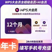 wps 大会员年卡