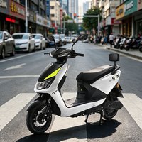 新日 飞豹 电摩 6274423170570 72V22Ah