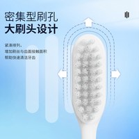 青蛙 家庭成人软毛牙刷细毛洁齿护龈不伤男女情侣家庭装996系列