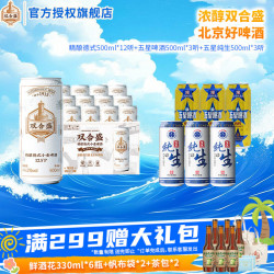 双合盛 精酿12.5°P德式啤酒组合 18罐（500*12听+纯生500*3听+五星啤酒500*3听）