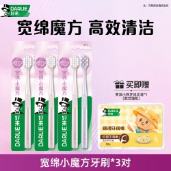 好来 原黑人小细洁小头软毛牙刷成人情侣牙刷