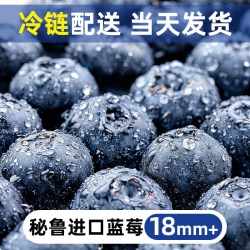 寻天果蔬 秘鲁蓝莓 2盒 14mm及以上