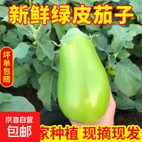 京东 新鲜现摘青茄子农家自种绿皮长茄子生鲜蔬菜产自中国长寿之乡夏邑 头茬鲜青茄 带箱2斤 2斤