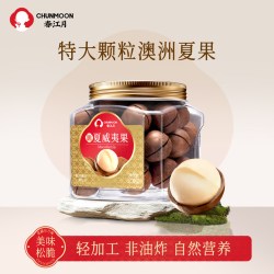 春江月 夏威夷果238g*1罐