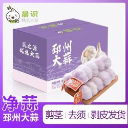 晨识 邳州 精选彩箱紫白皮特级干大蒜 5.0-5.5cm 2条6条