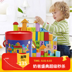 Hape E8402 益智积木 桶装 80颗粒