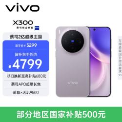vivo X300 5G手机 16GB+256GB 惬意紫