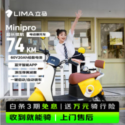 立马电动车 立马电动摩托车MINI-PRO 50公里长续航1200W电机60V20Ah铅酸家用蓝牙智能电动车 密黄