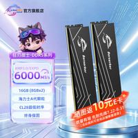 SAMNIX 电竞超频 台式机内存条  8GB*2 16GB