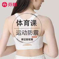 芬腾 防震 女士文胸