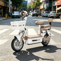 移动端：台铃 大果粒 电动自行车 48V 20AH