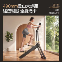 麦瑞克 MR-2616B 磁控静音折叠 爬楼机