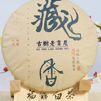 陈香老白茶贡眉 荒野老树 300g 茶饼