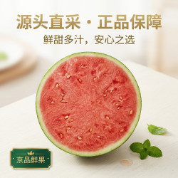 陕甘宁戈壁无籽麒麟西瓜 现摘头茬沙地瓜  8-10斤