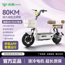 绿源 x源行者专供新国标电动自行车48V20A电动车长续航铅酸电瓶车F