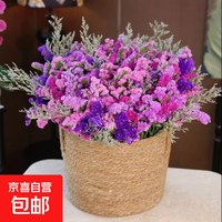勿忘我1束（2-5个颜色）约300g