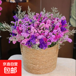 勿忘我1束（2-5个颜色）约300g