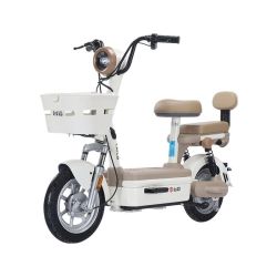台铃 大果粒 新国标电动车自行车 48V22Ah
