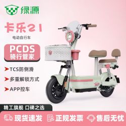 绿源 卡乐21 电动自行车 48V20Ah