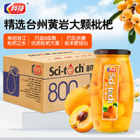 科技 枇杷罐头 水果罐头糖水饮料水果捞零食送礼礼品节日 800g*12罐