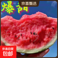 麒麟西瓜 8424冰糖 5-6斤 整箱新鲜应季有籽薄皮