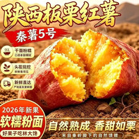 林大 馋陕西正宗新鲜板栗红薯蜜薯 地瓜 5斤精选小果(净4.7斤起)单果125g以下 皮薄无丝秦薯5号 秦岭产地直发