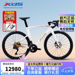 喜德盛 公路自行车AD7碳纤维破风架24速电子变速油刹 30周年纪念-云雾白金 DI2 S