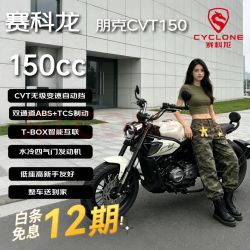 宗申 朋克CVT150 复古巡航 民谣白 燃油摩托车