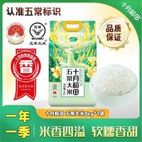 百亿补贴：十月稻田 五常大米 5kg*1袋