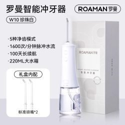小熊 罗曼冲牙器家用便携洗牙器口腔牙齿清洁水牙线正畸专用洁牙器