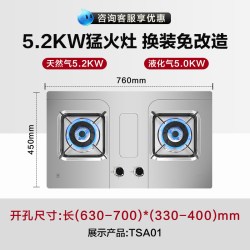 樱花 燃气灶家用双灶台嵌两用天燃气煤气灶双灶液化猛火灶具旗舰店