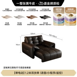 FA SA DI HOUSEHOLD 中古风 大黑熊 电动功能沙发 1.2米双扶单 头层牛皮