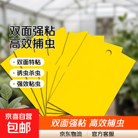 京喜 黄板双面粘虫板诱虫纸贴 黄色 15*10（20片）