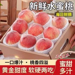 飘香果度 山西水蜜桃 当季脆甜大桃 5斤装 净重4.5斤