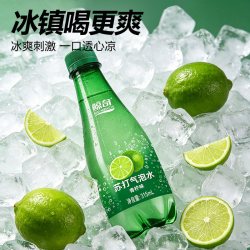 鲸奇 青柠味苏打气泡水 2520ml 315ml*8瓶