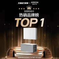 ARROW箭牌 灰色 陶瓷一体盆 浴室柜组合