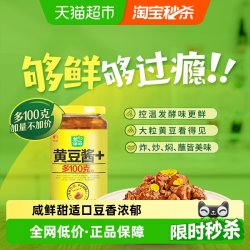 欣和 葱伴侣 黄豆酱+ 900g
