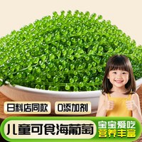 自然道 儿童海葡萄即食 儿童海葡萄100g*3袋