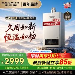 A.O.SMITH JSQ31-EC3 精钢内胆 16L 天然气 燃气热水器