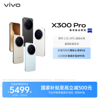 移动端：vivo X300 Pro 5G手机