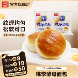 桃李 酵母面包 巧克力味
