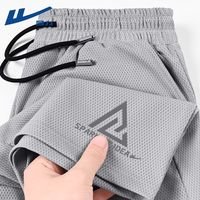 百亿补贴:回力 男士网眼短裤 2026