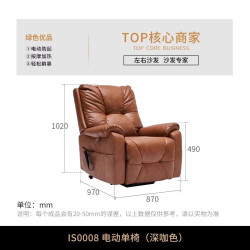 左右家私 IS0008 真皮单人沙发 中古风 棕色
