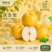 京鲜生 安徽砀山新玉梨净重8斤 单果250g+ 新鲜水果源头直发
